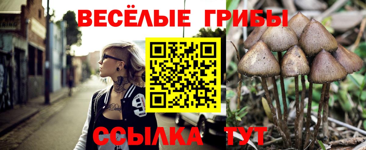 Галлюциногенные грибы Psilocybe Уварово