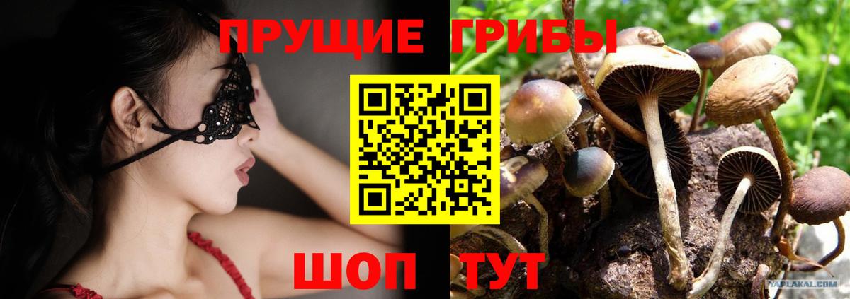 Уварово  Галлюциногенные грибы Magic Shrooms  Вход с VPN 